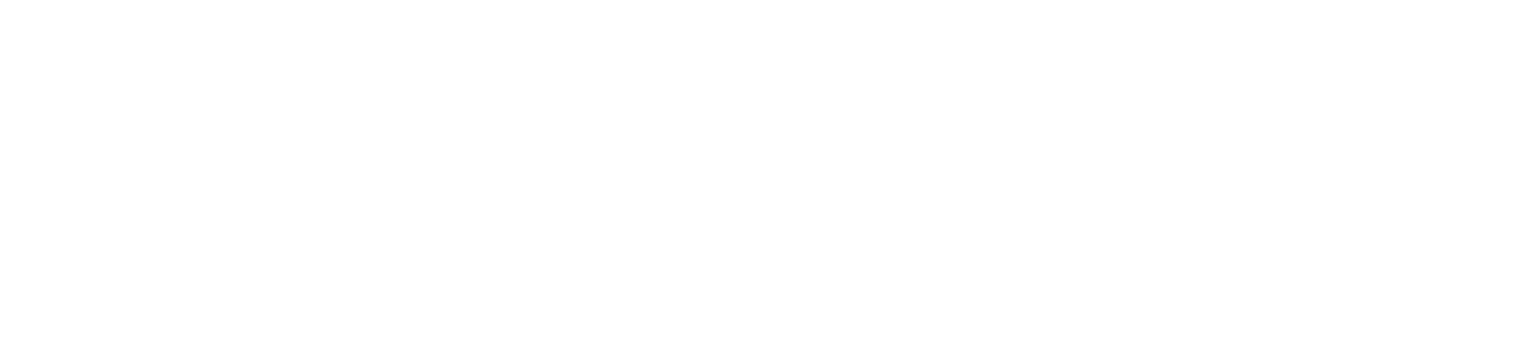 Organización Aliada 1