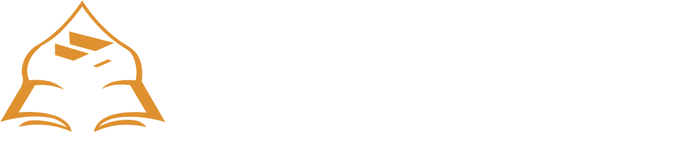 Organización Aliada 2